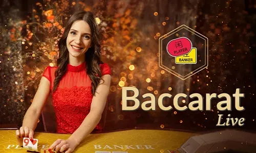 Bingoplus Poker Tournament Prize